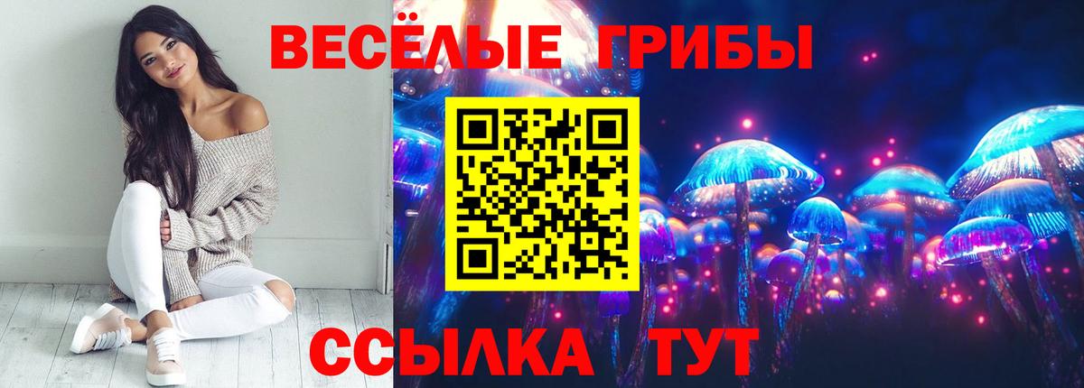 Псилоцибиновые грибы MAGIC MUSHROOMS  купить  сайты  Красногорск  Вход с VPN  Галлюциногенные грибы мухоморы 